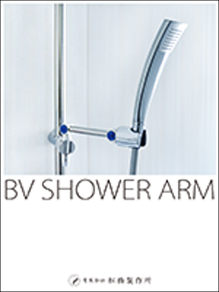 BV SHOWER ARM